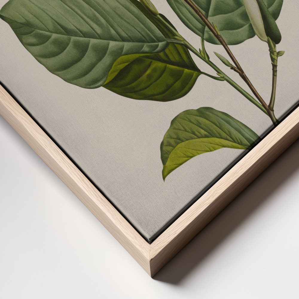 Canvas print - Botanical vintage cameraman frame close up