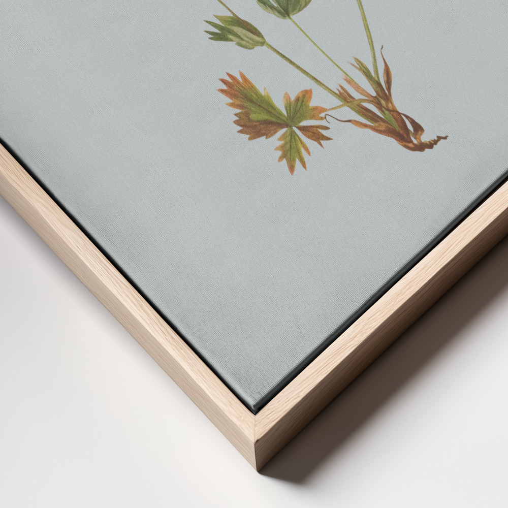 Canvas print - Botanical vintage key frame close up