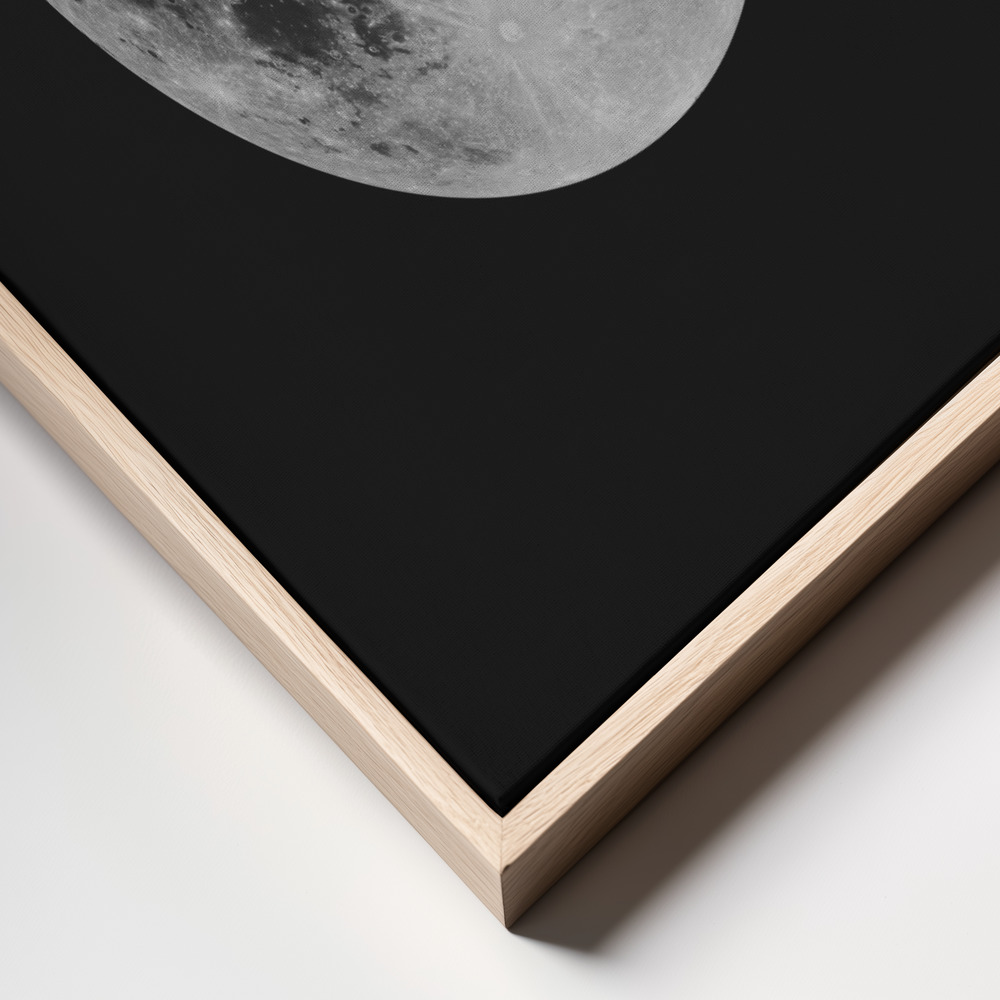 Canvas schilderi - Solar System Moon frame close up