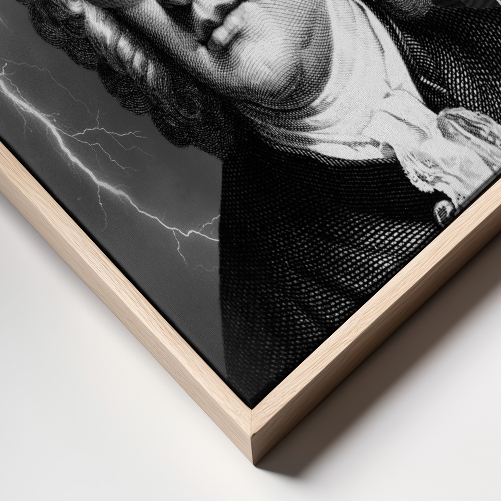 Toile - Bach To The Future Nº1 cadre en gros plan - cadre naturel