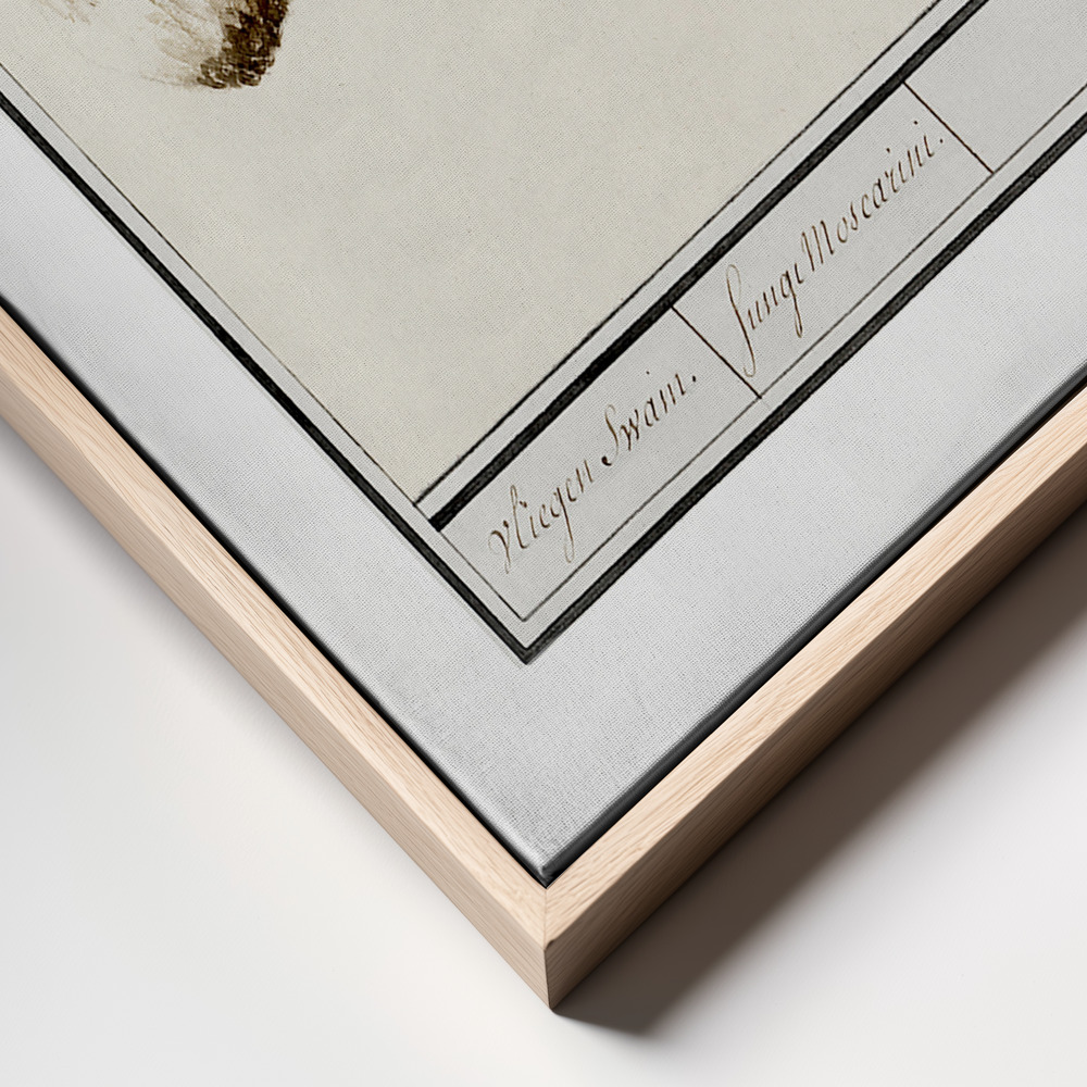 Canvas print - Fly Agaric, Amanita Muscaria frame close up - natural frame