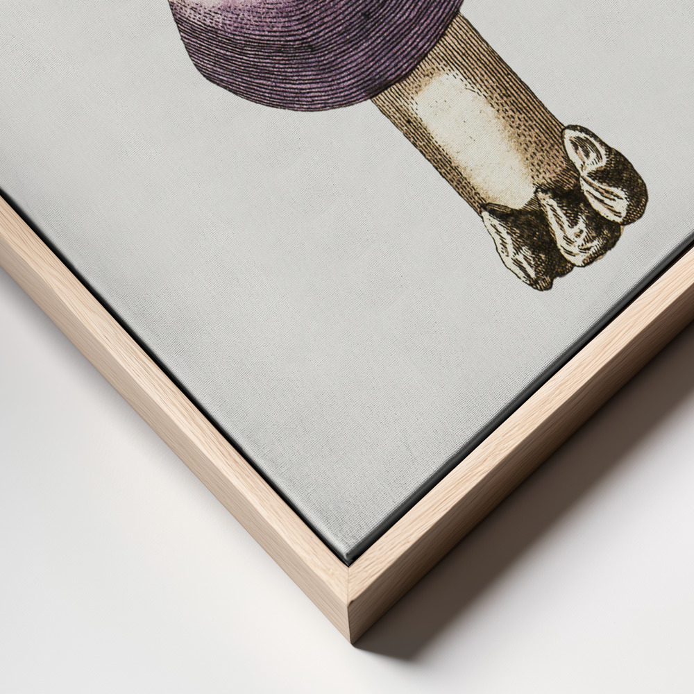 Canvas print - Hand Darwn Violet Webcap Mushroom frame close up - natural frame