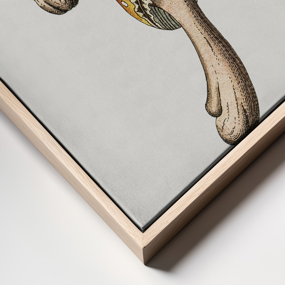 Canvas print - Hand Drawn Fly Agaric Mushroom frame close up - natural frame