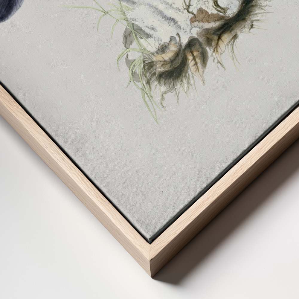 Canvas print - Vintage Violet Webcap Mushroom frame close up - natural frame