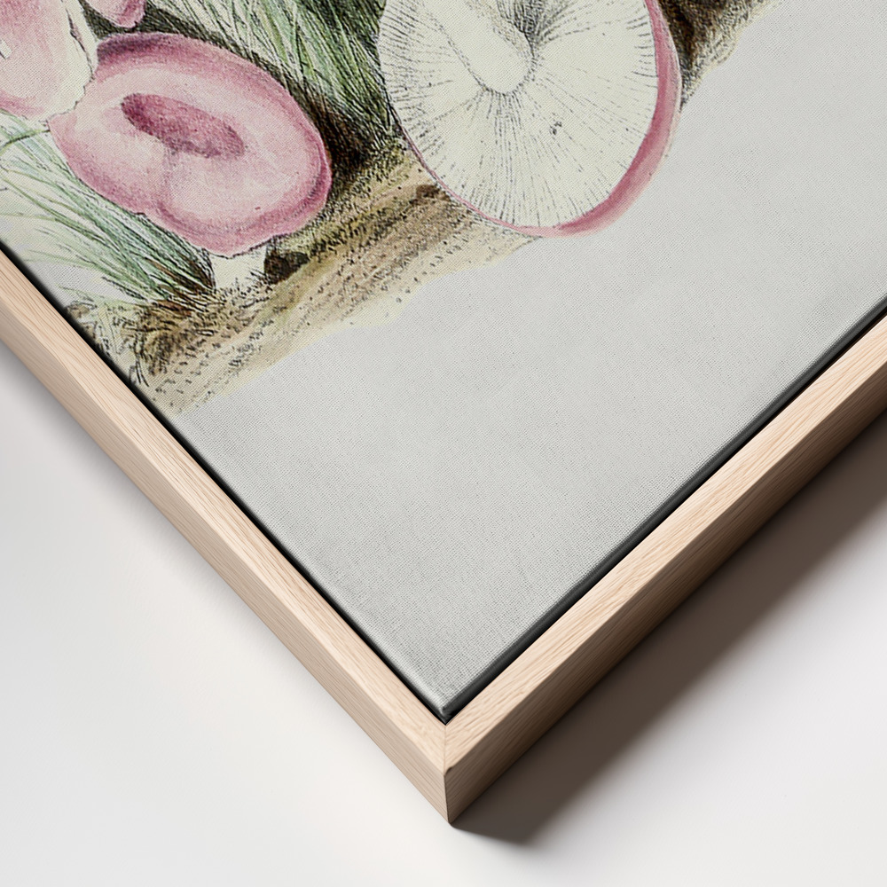 Canvas print - Vintage Russula Emetica Mushroom frame close up - natural frame