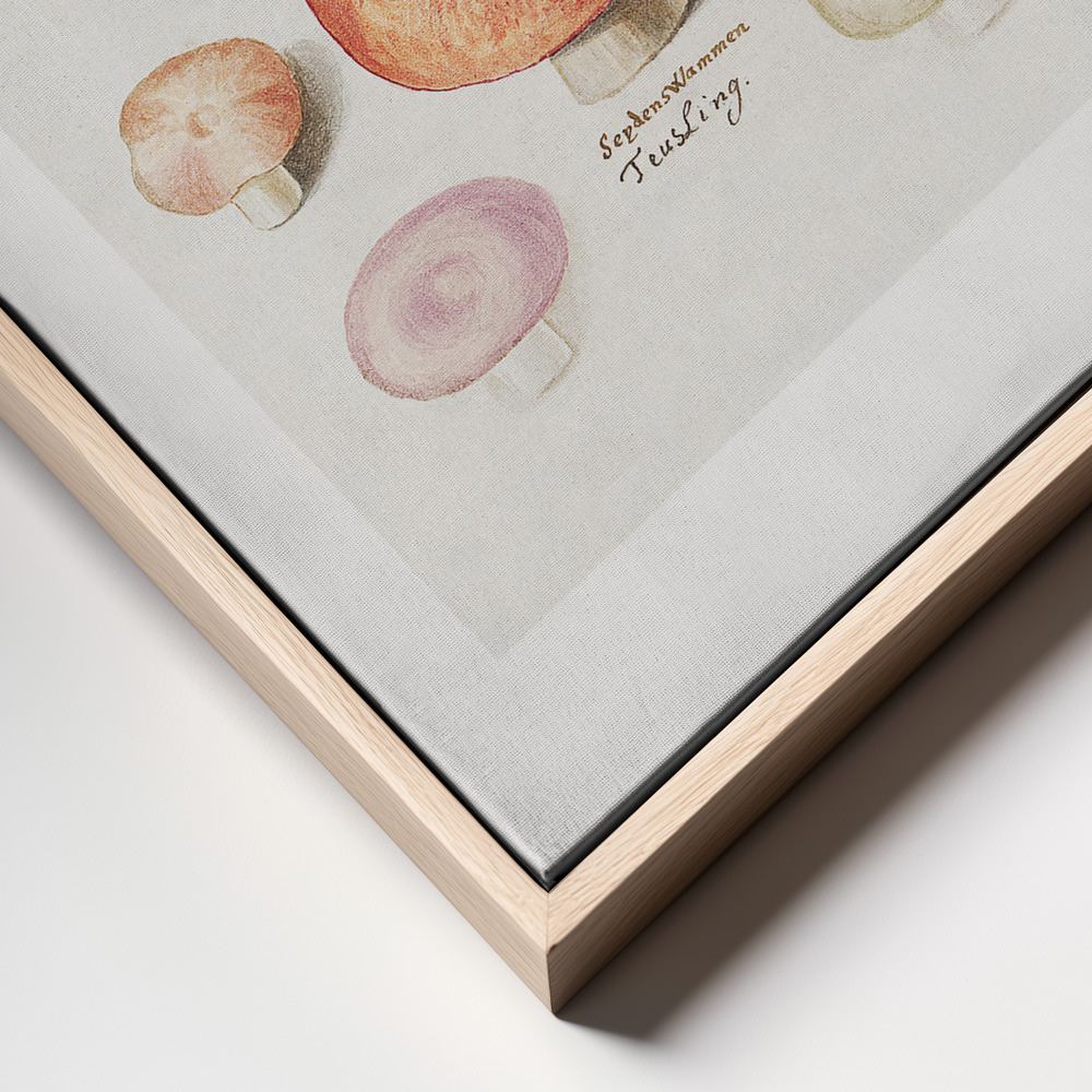 Canvas print - Boleten, Boletales Standing frame close up - natural frame