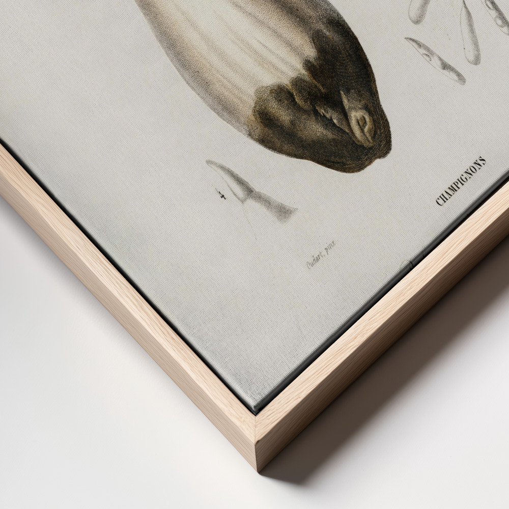 Canvas print - Penny Bun (boletus Edulis) frame close up - natural frame