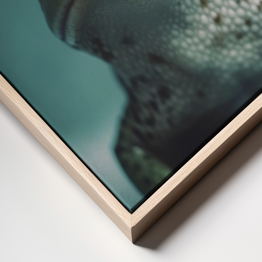 Canvas schilderi - Kiss The Frog frame close up - natuurlijk frame