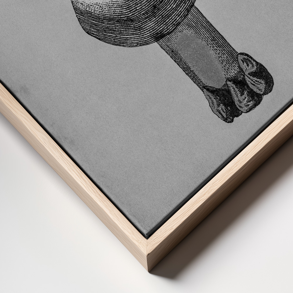 Canvas print - Violet Webcap Mushroom frame close up - natural frame