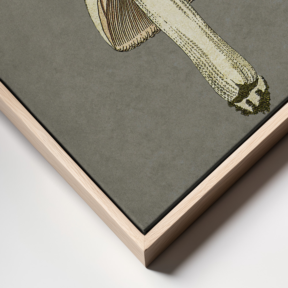 Canvas print - Field Mushroom frame close up - natural frame