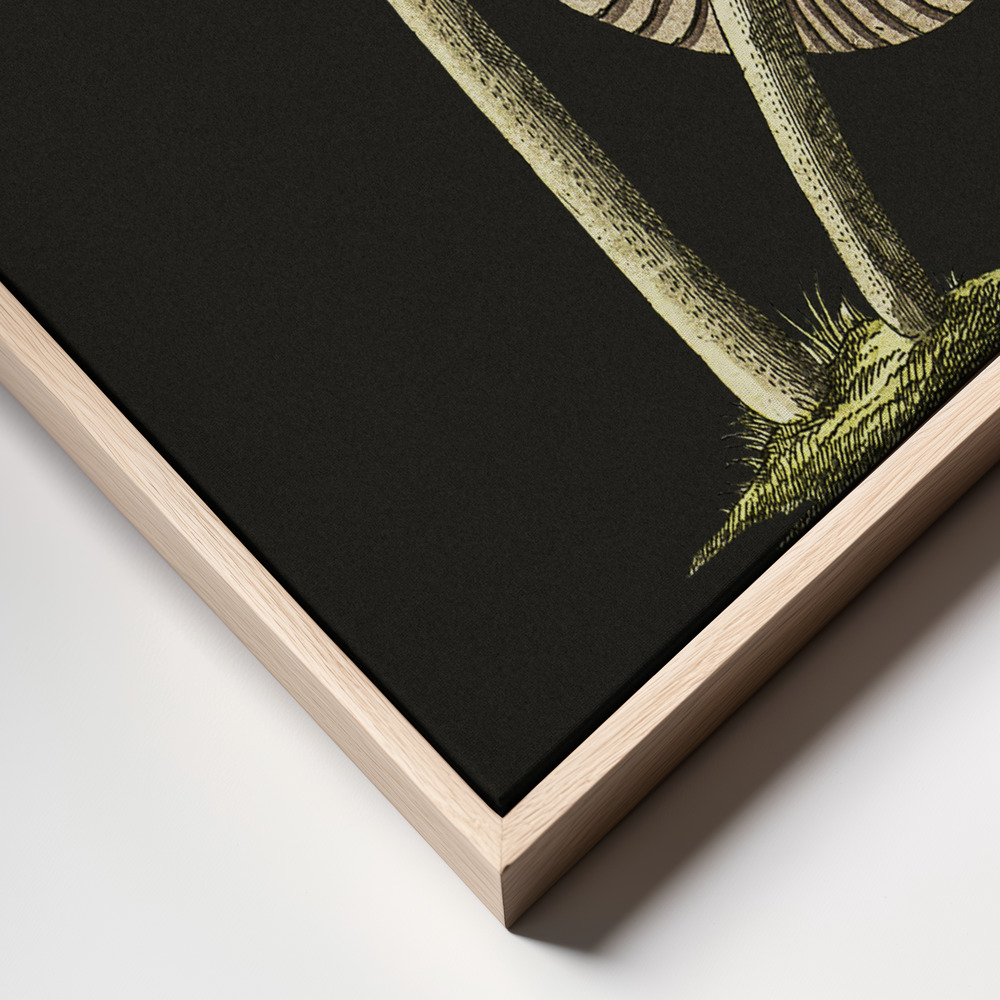 Canvas print - Vintage Inky Cap Edible Mushroom Black Background frame close up - natural frame