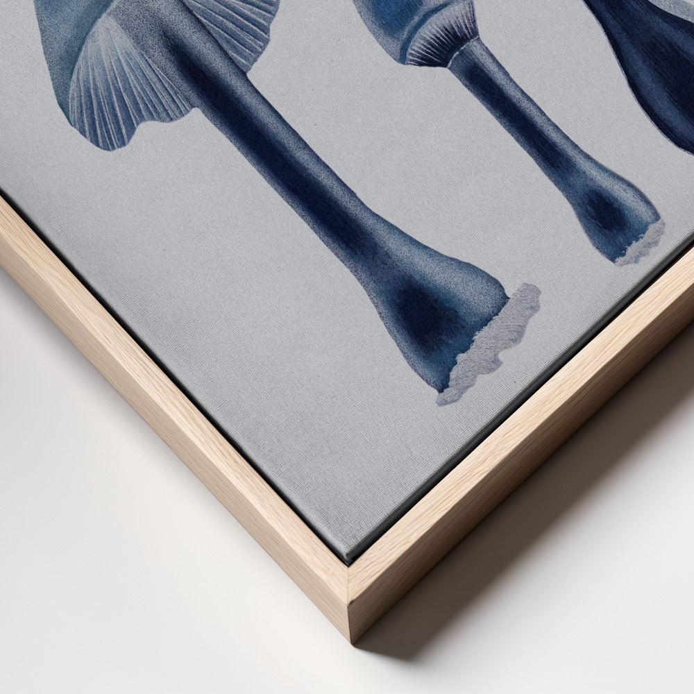 Stampe su tela - Agaricus Bulbosus - Blue primo piano della cornice - cornice naturale