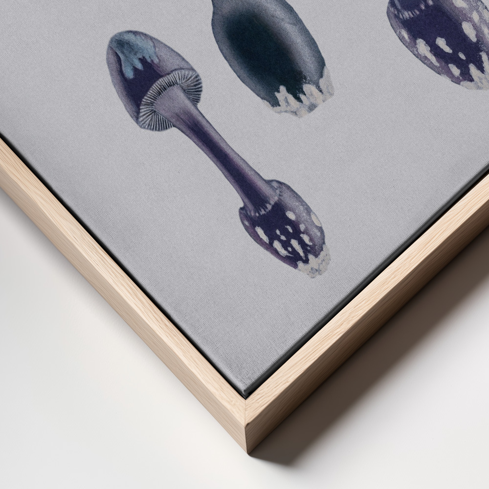 Stampe su tela - Amanita Muscaria White Backgound Purple primo piano della cornice - cornice naturale