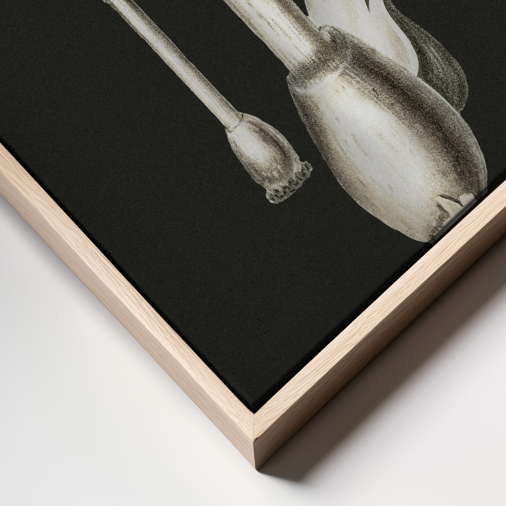 Stampe su tela - Amanita Muscaria Dark Background primo piano della cornice - cornice naturale