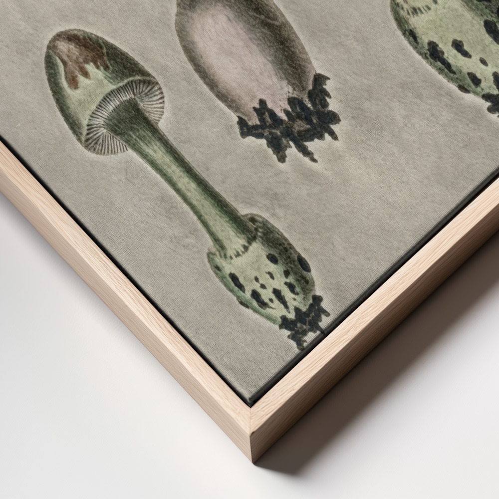 Stampe su tela - Amanita Muscaria Remix Green primo piano della cornice - cornice naturale