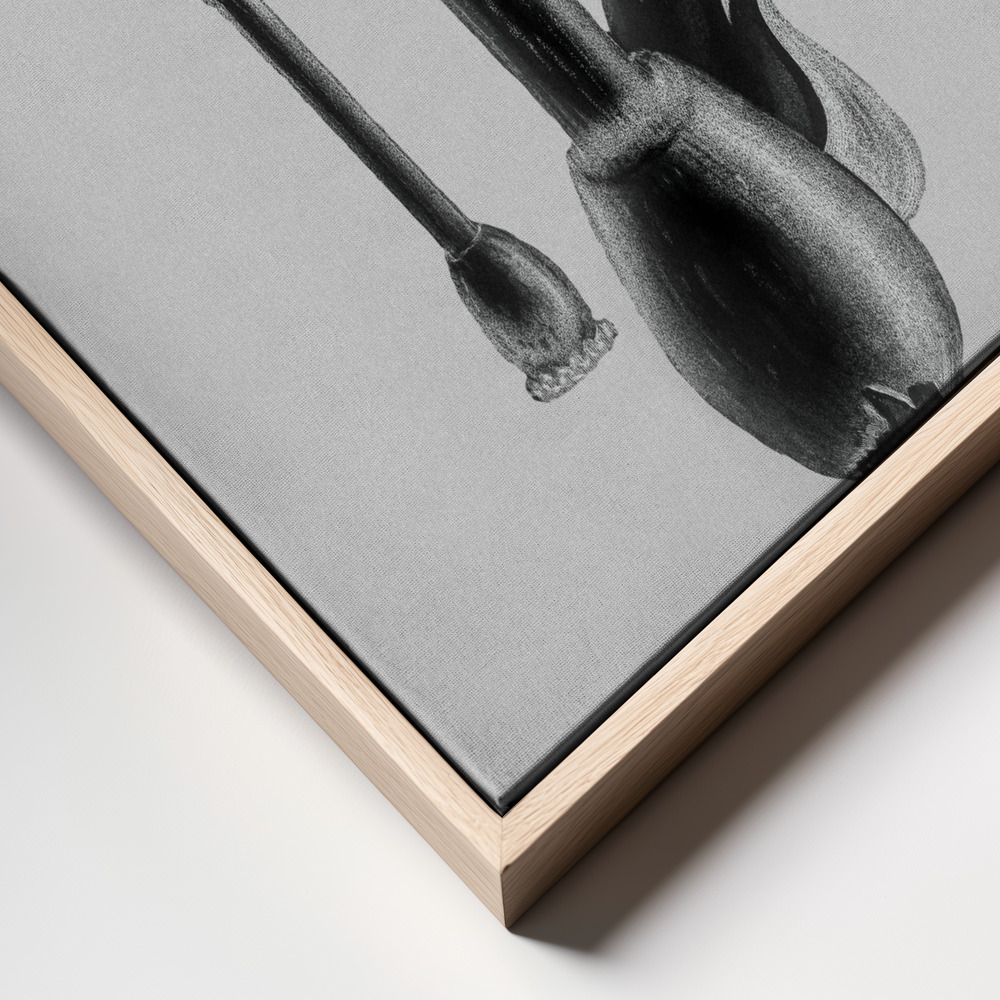 Canvas taulu - Amanita Muscaria White Background Green kehys lähikuva - luonnollinen kehys