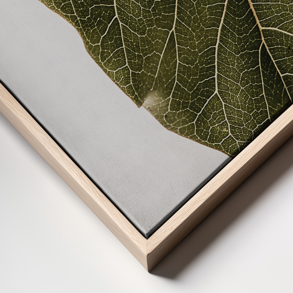 Canvas print - Abutifolia No2 frame close up