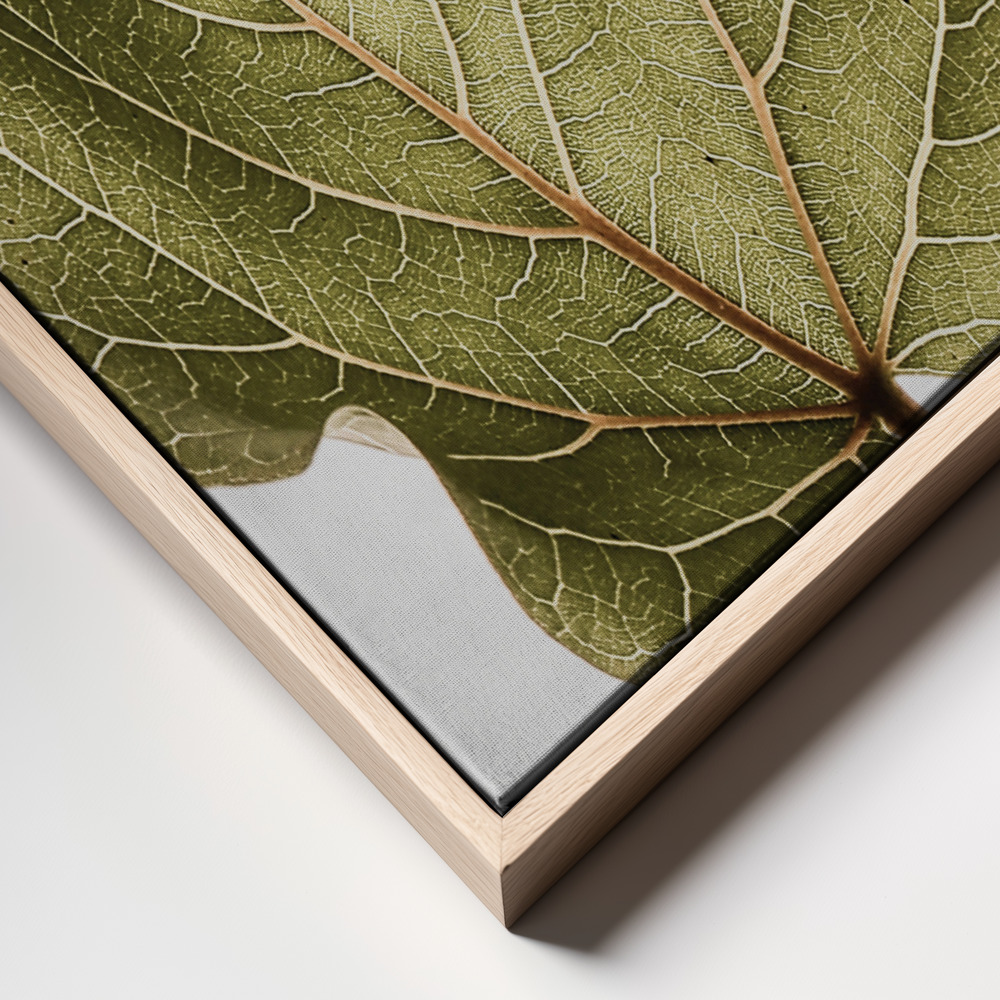 Canvas print - Abutifolia Noe frame close up