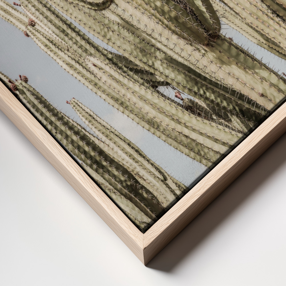 Canvas print - Desert Cathedral frame close up