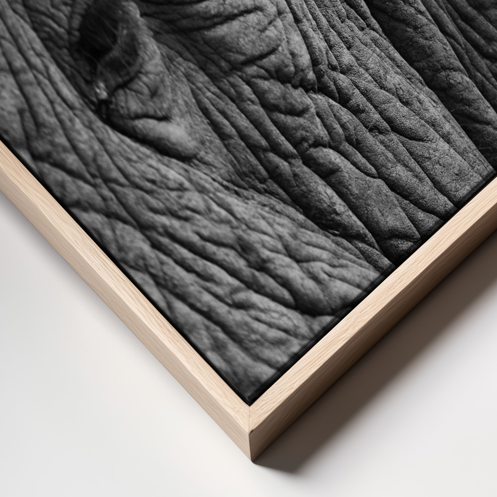 Canvas schilderi - Elephant Study frame close up - natuurlijk frame