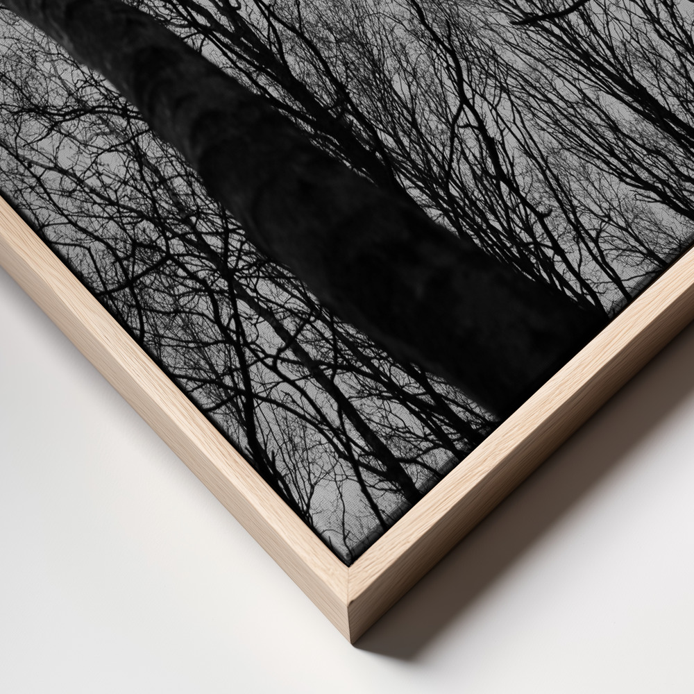 Lienzo - Everglades primer plano del marco - marco natural