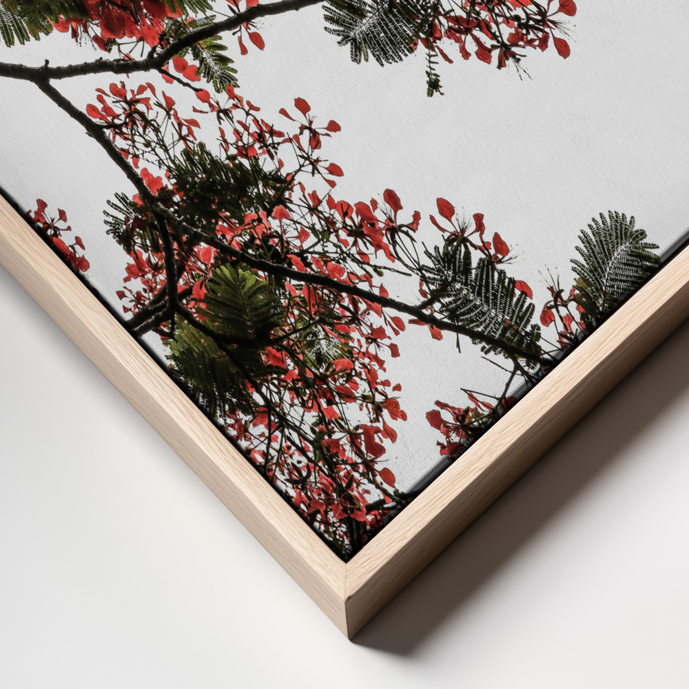 Canvas schilderi - Flamboyant frame close up