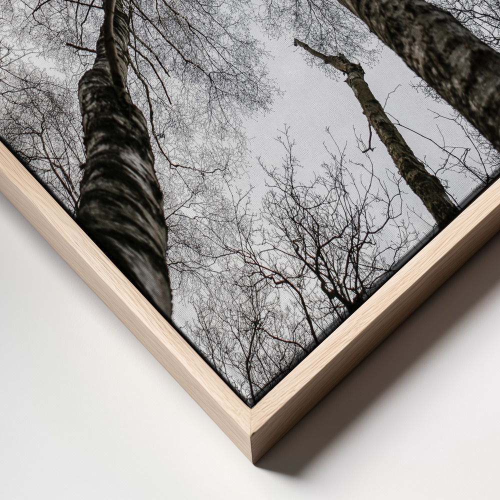 Canvas taulu - Forest No1 kehys lähikuva - luonnollinen kehys