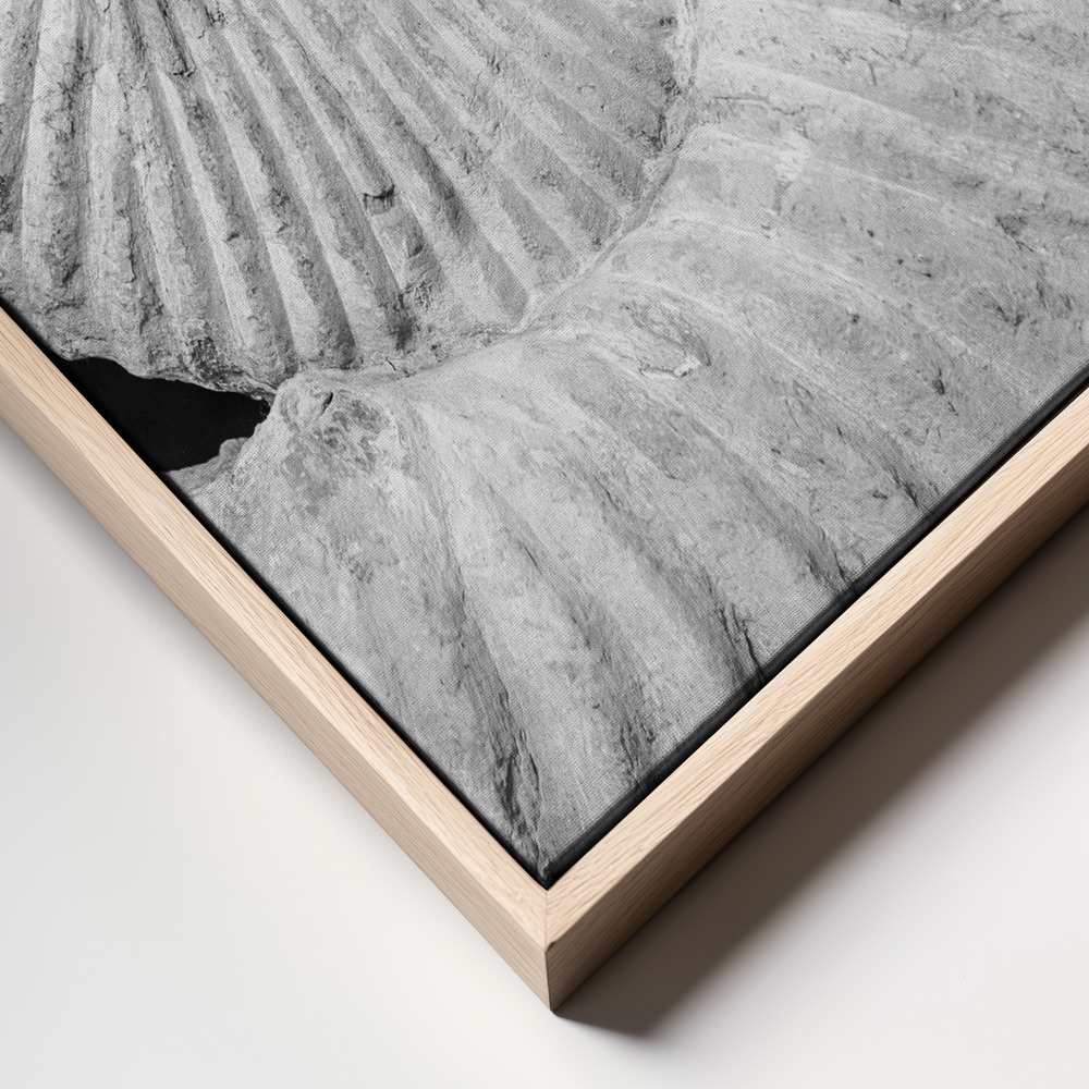 Canvas print - Formula frame close up