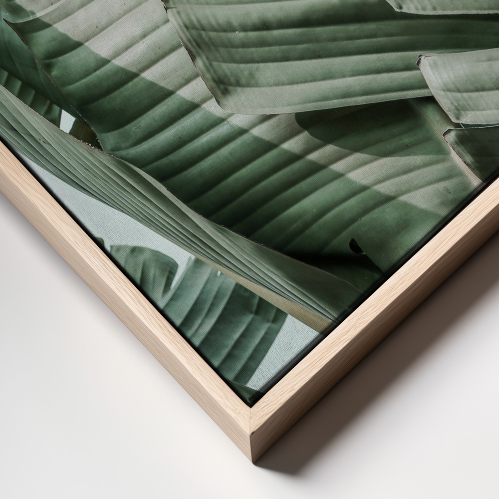 Canvas print - Garden Gangsta frame close up