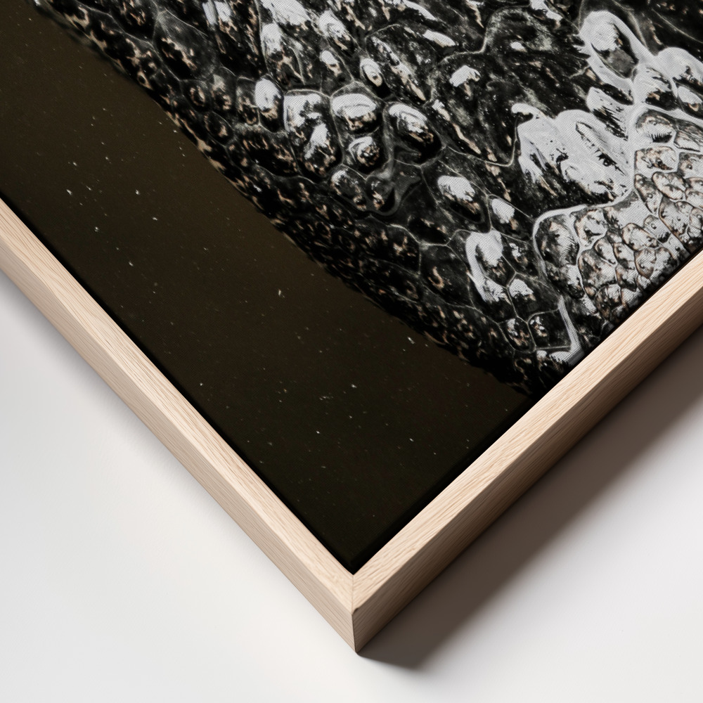 Canvas print - Gator frame close up
