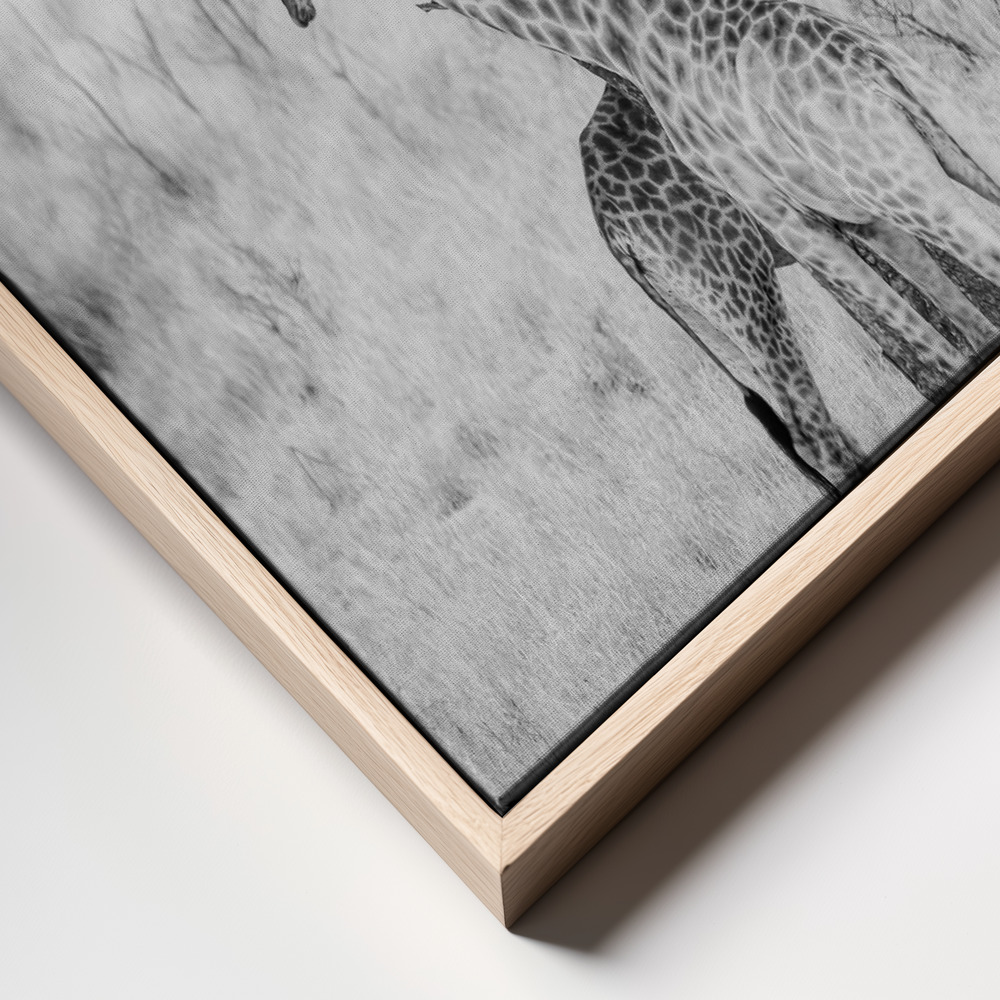 Canvas print - Got Your Back frame close up