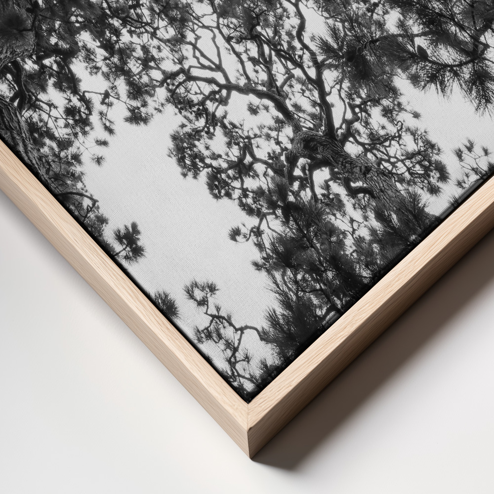 Canvas print - Japanese Garden 04 frame close up