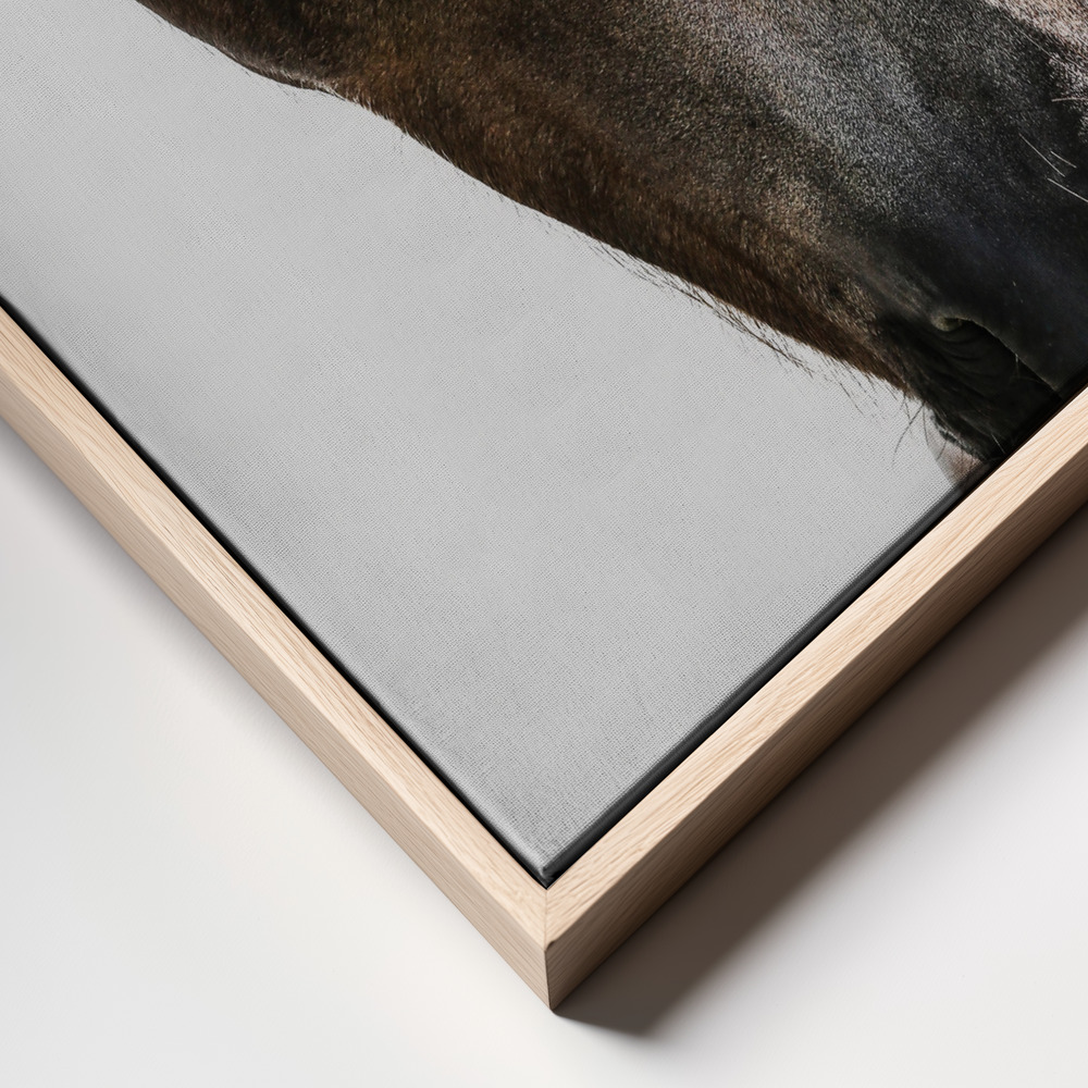 Canvas print - Kalimazoo frame close up