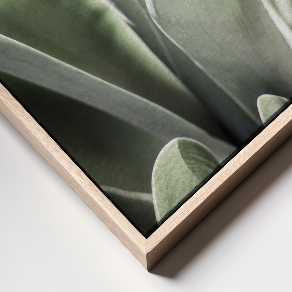Canvas schilderi - Karro Bloom frame close up - natuurlijk frame