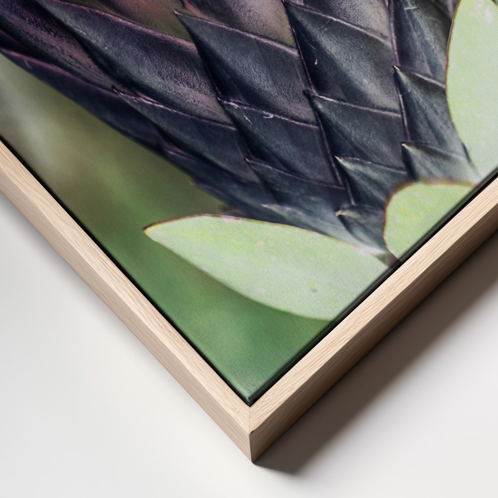 Canvas print - King Protea 01 frame close up