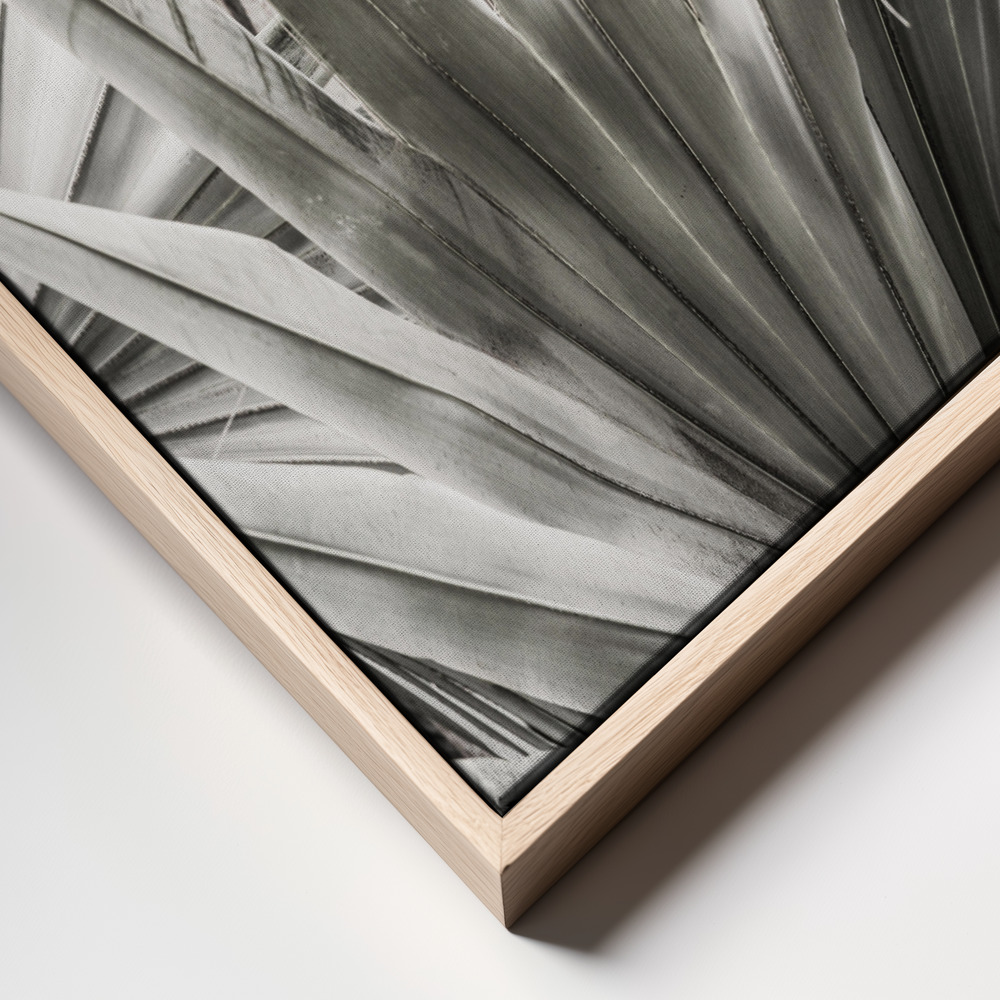 Canvas schilderi - Lala Palm frame close up