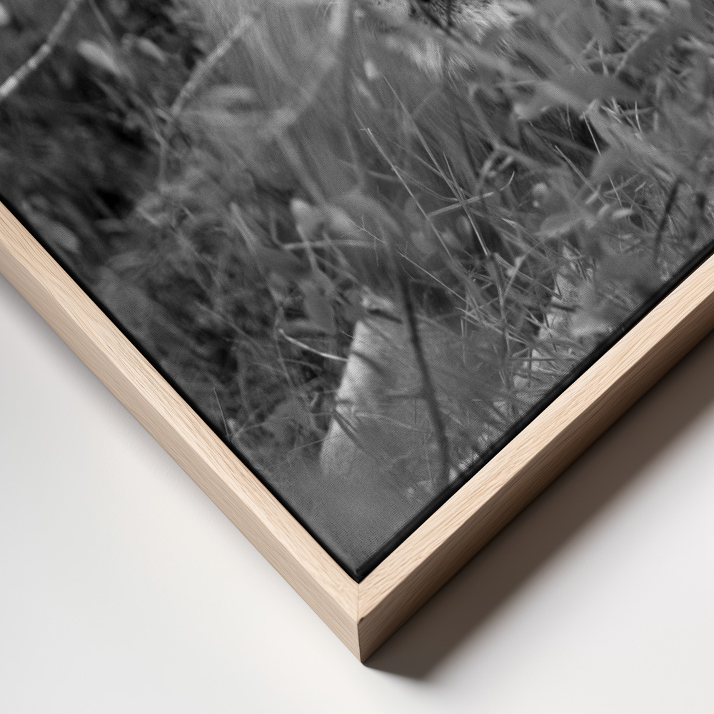 Canvas print - Lion frame close up