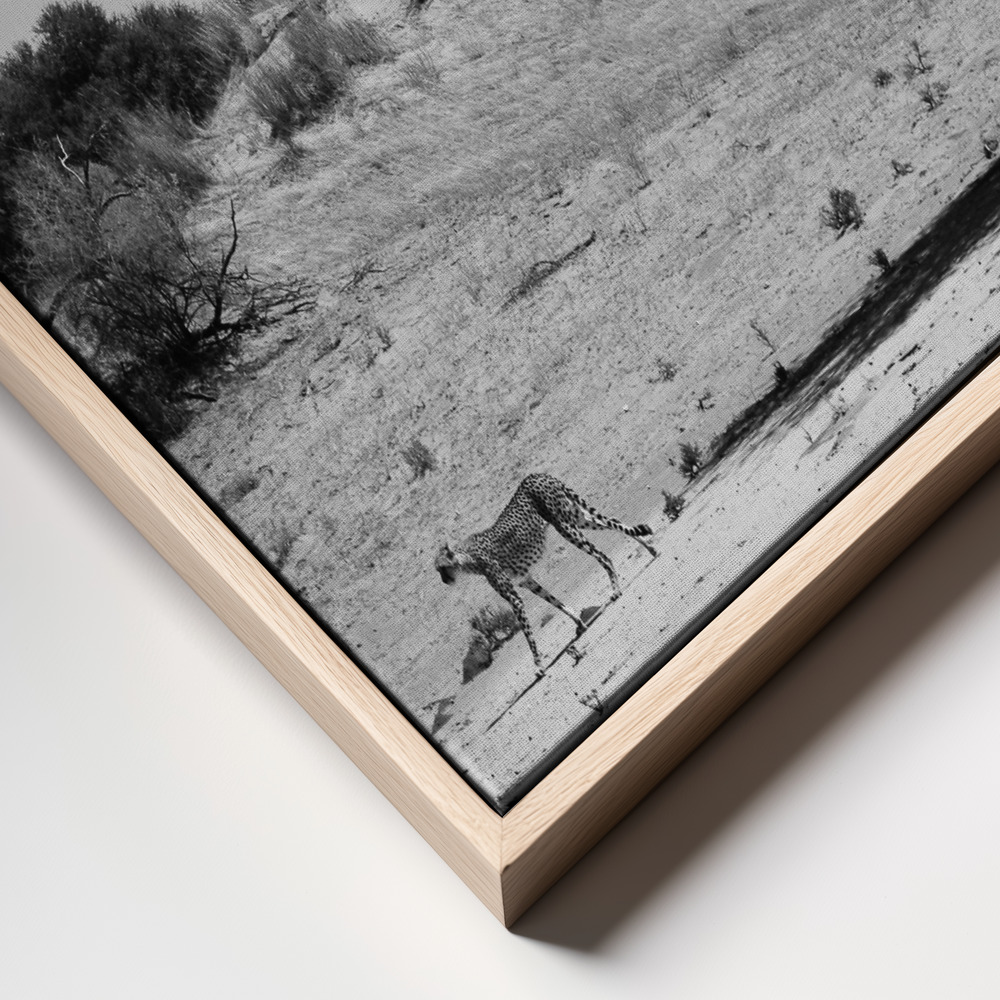 Canvas print - Loner frame close up