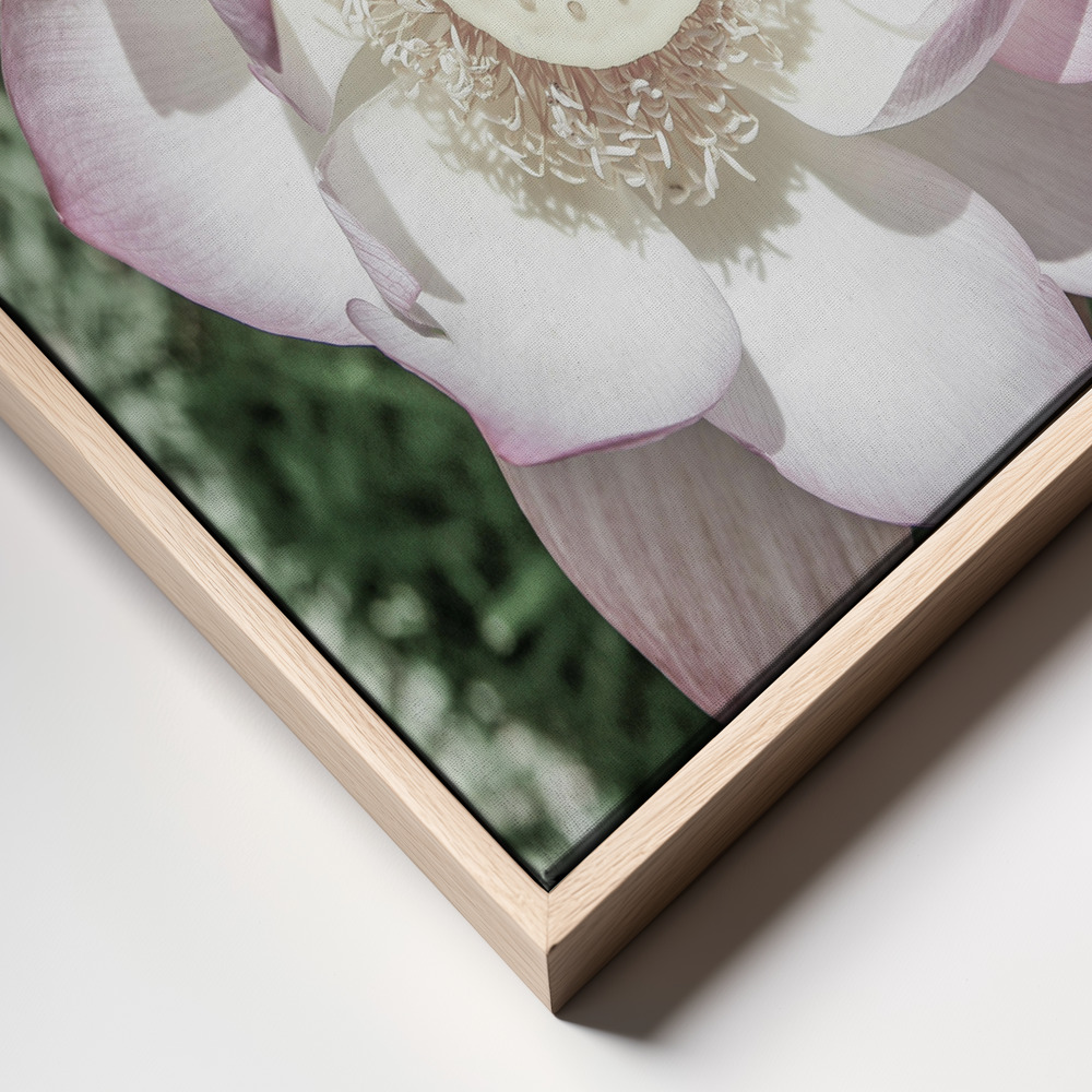 Canvas schilderi - Lotus frame close up