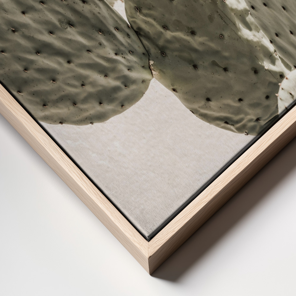 Canvas print - Mexi Catus 02 frame close up