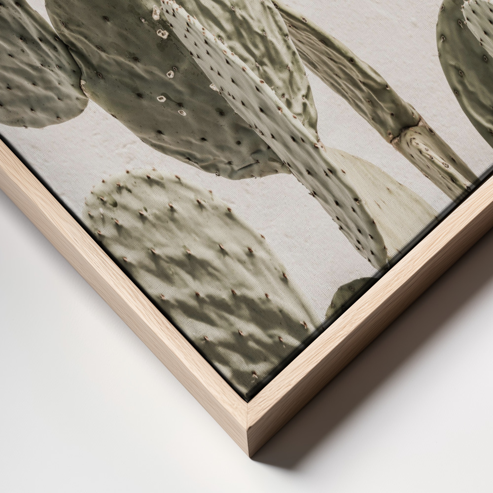 Canvas print - Mexi Catus frame close up
