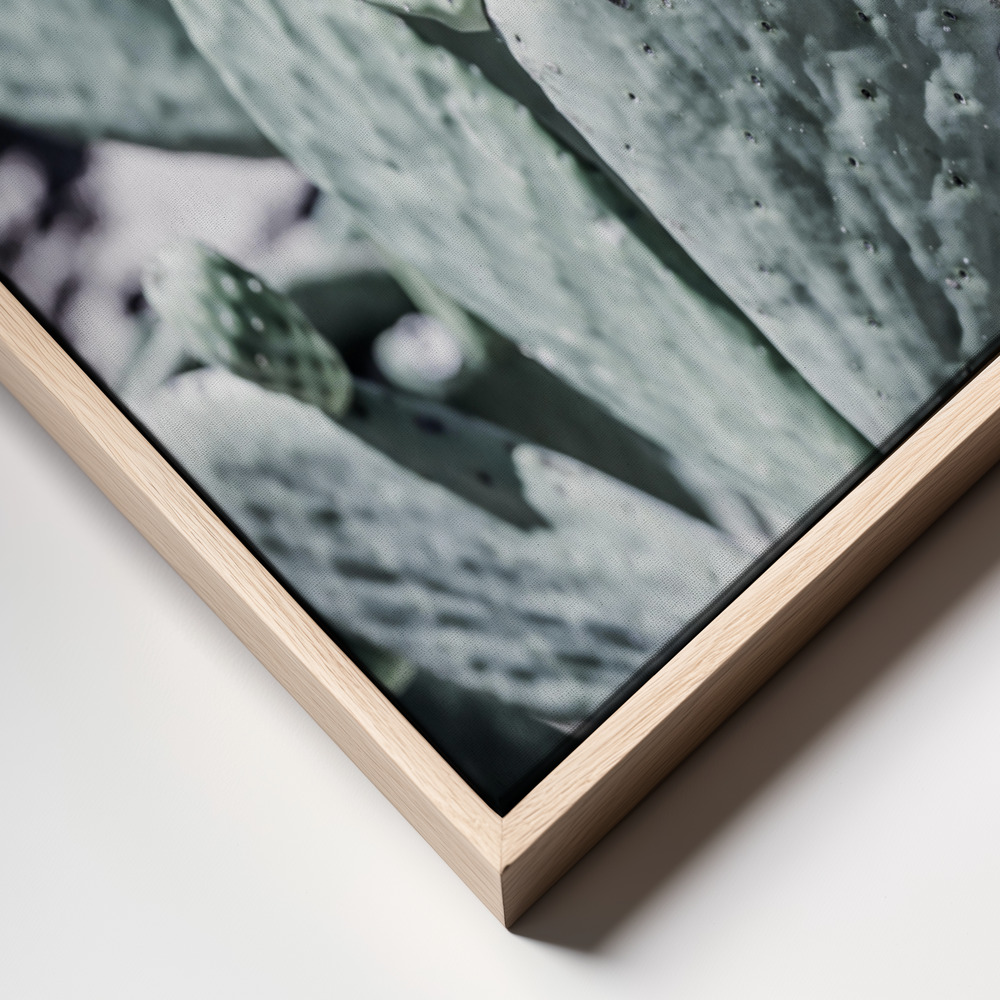 Canvas print - Mexi Pears frame close up