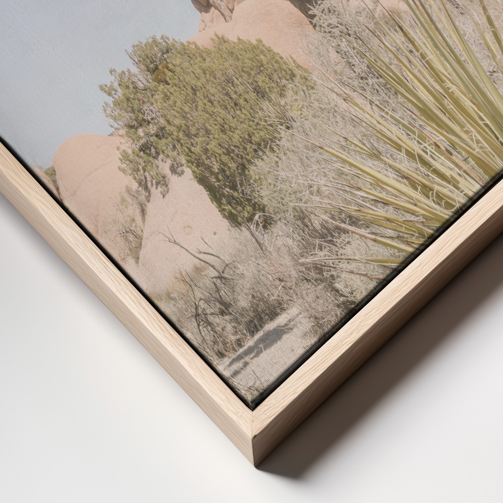 Canvas print - Mojave Desert frame close up