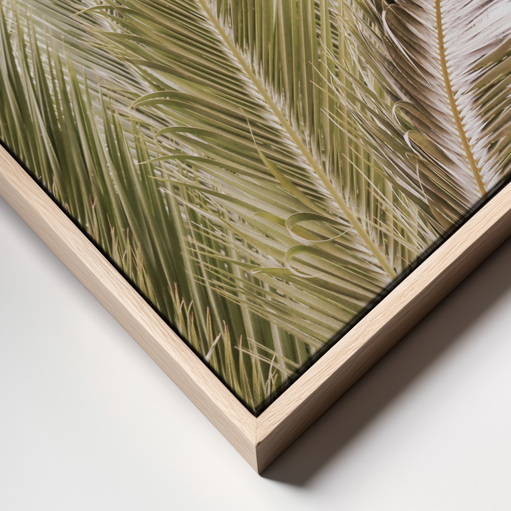 Canvas print - Oasis Palm 01 Oa 01 frame close up