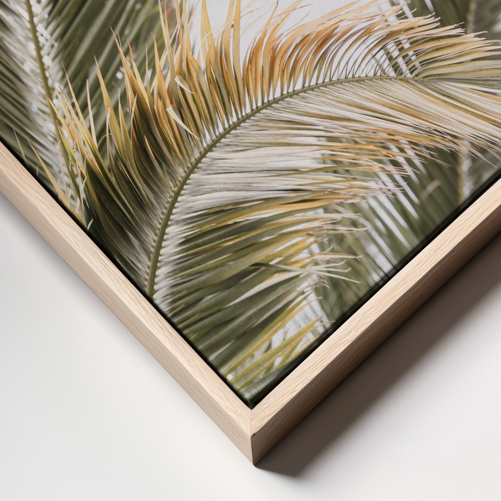 Canvas print - Oasis Palm 03 frame close up