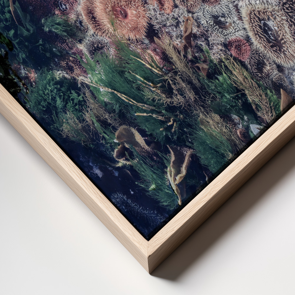 Canvas print - Ocean Curiosities frame close up