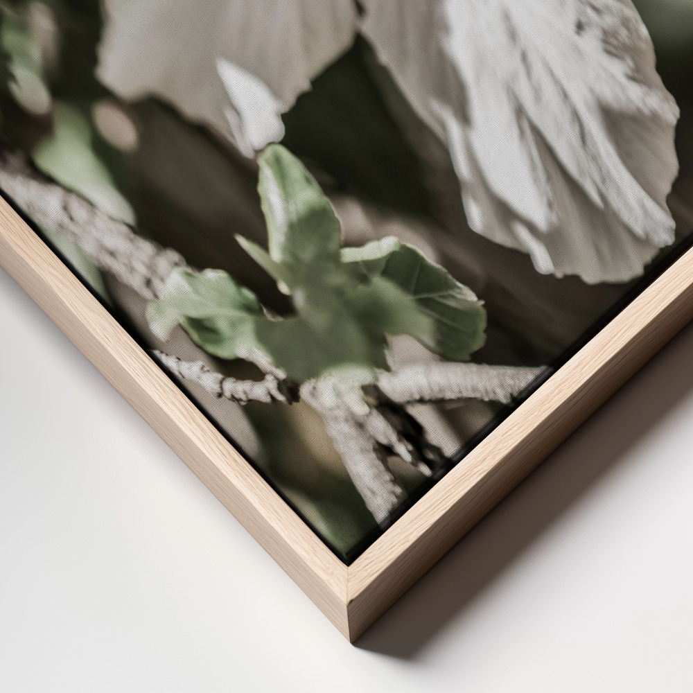 Canvas print - Pale Pink Hibiscus frame close up - natural frame