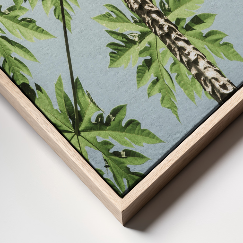 Toile - Paw Paw cadre en gros plan - cadre naturel