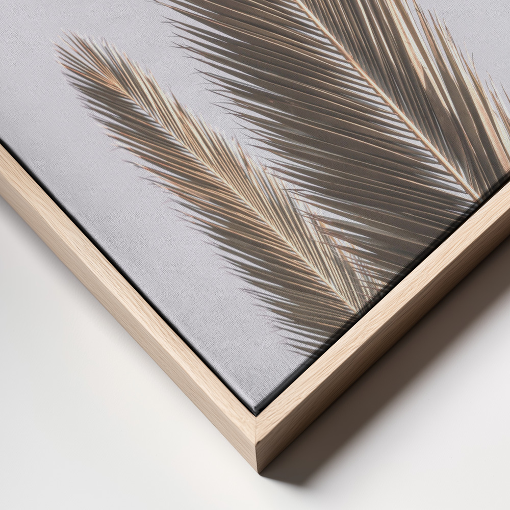 Canvas print - Phoenix Palm frame close up