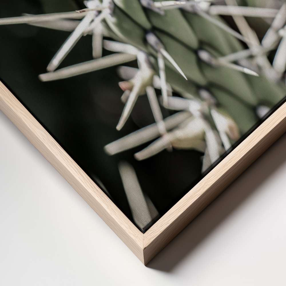 Canvas print - Pink Desert Bloom frame close up